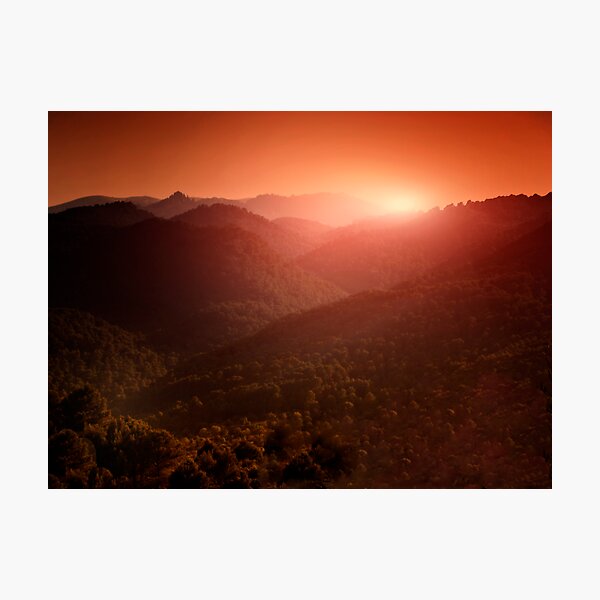 evening Photographic Print