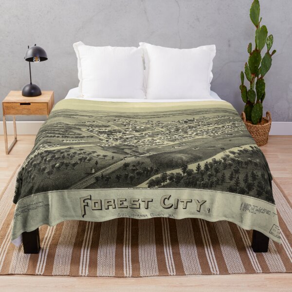 Item preview, Forest City, Pennsylvania (1889) designed and sold by allhistory.