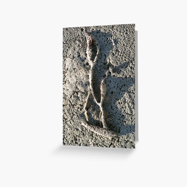 Foam Dancer Greeting Card