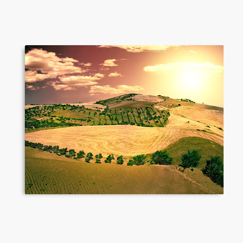 landscape Canvas Print