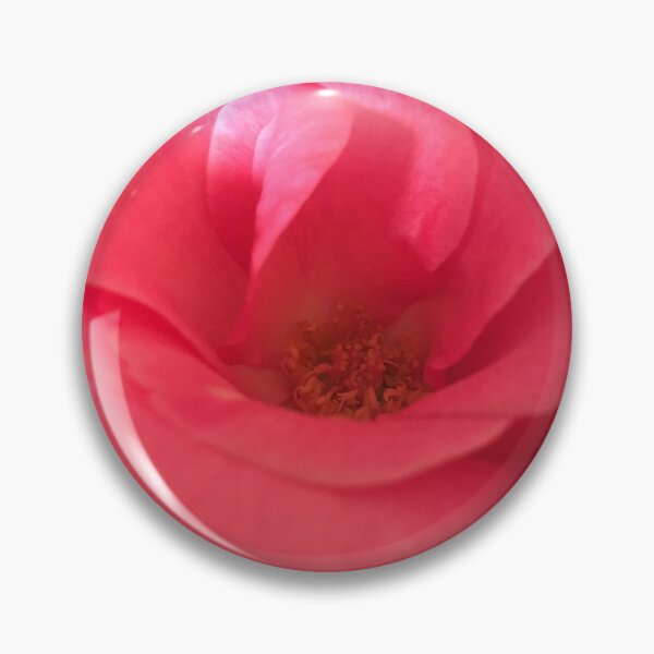 Item preview, Pink  Rose designed and sold by Bre-Bug-242.