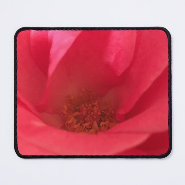Item preview, Pink  Rose designed and sold by Bre-Bug-242.