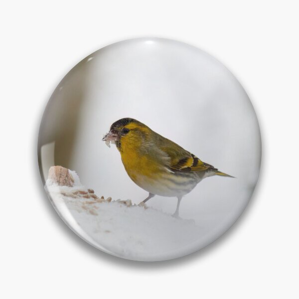 Item preview, Winterscene. Eurasian siskin designed and sold by Jouko Lehto Photography.