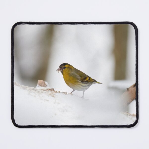 Item preview, Winterscene. Eurasian siskin designed and sold by Jouko Lehto Photography.