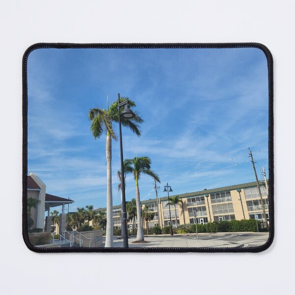 Item preview, Palm Trees in south Florida designed and sold by reformedfruit.