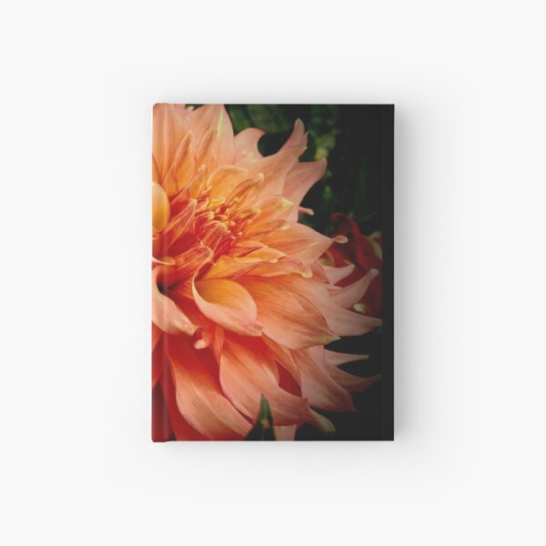 Blush Dahlia Hardcover Journal