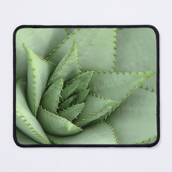 Item preview, cactus designed and sold by Ilda Ilda.
