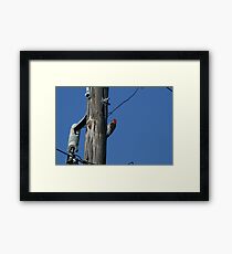 Little Hole Maker Framed Print