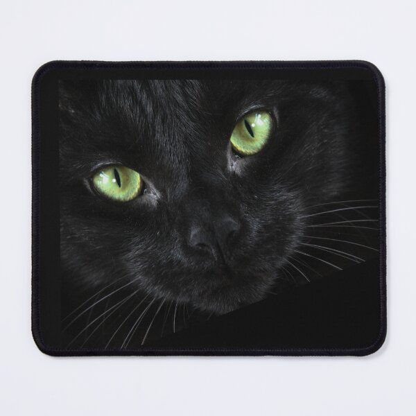 Item preview, black cat designed and sold by GorLorLar.