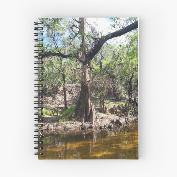 Item preview, Paynes Creek designed and sold by reformedfruit.