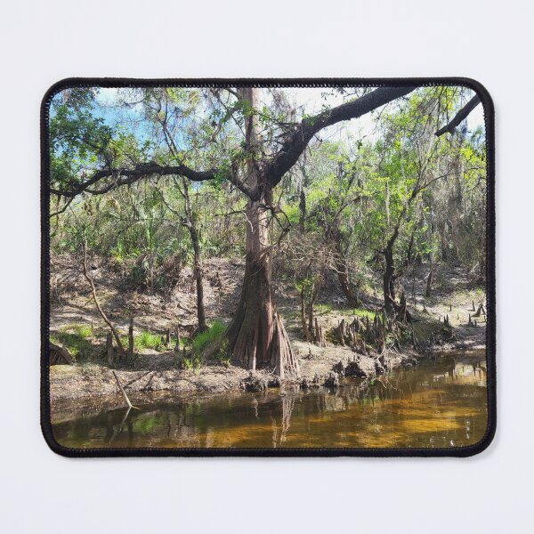 Item preview, Paynes Creek designed and sold by reformedfruit.