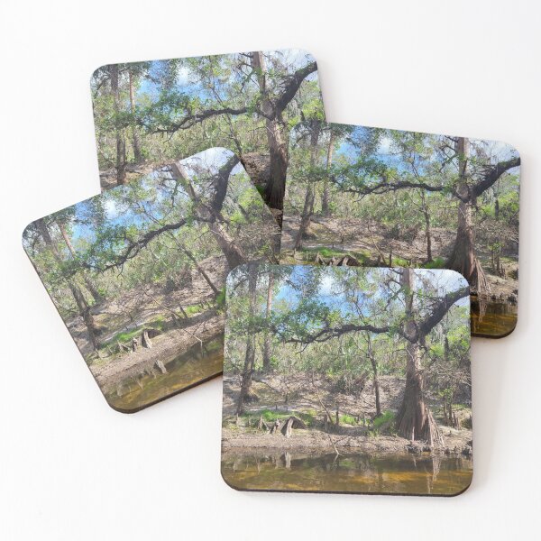 Item preview, Florida creek designed and sold by reformedfruit.