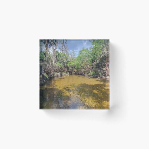 Item preview, Florida creek designed and sold by reformedfruit.