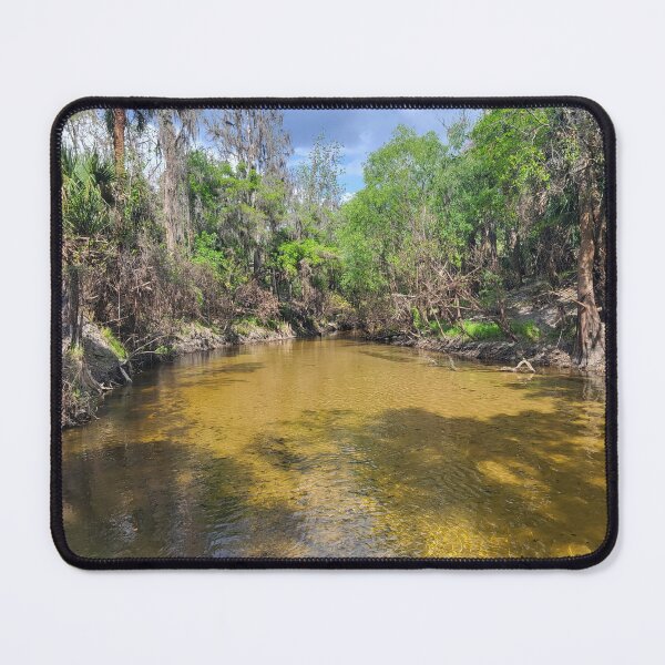 Item preview, Florida creek designed and sold by reformedfruit.