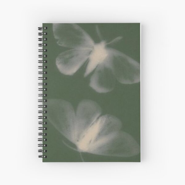 Aesthetic print  Spiral Notebook for Sale by stickscreations