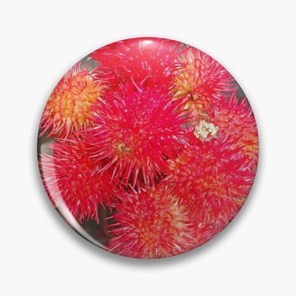 Item preview, Castor Plant Beautiful Red Seed Vessel designed and sold by funkyfreshfinds.