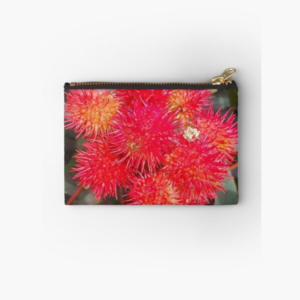 Item preview, Castor Plant Beautiful Red Seed Vessel designed and sold by funkyfreshfinds.