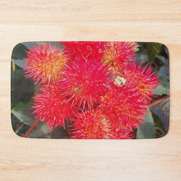 Item preview, Castor Plant Beautiful Red Seed Vessel designed and sold by funkyfreshfinds.