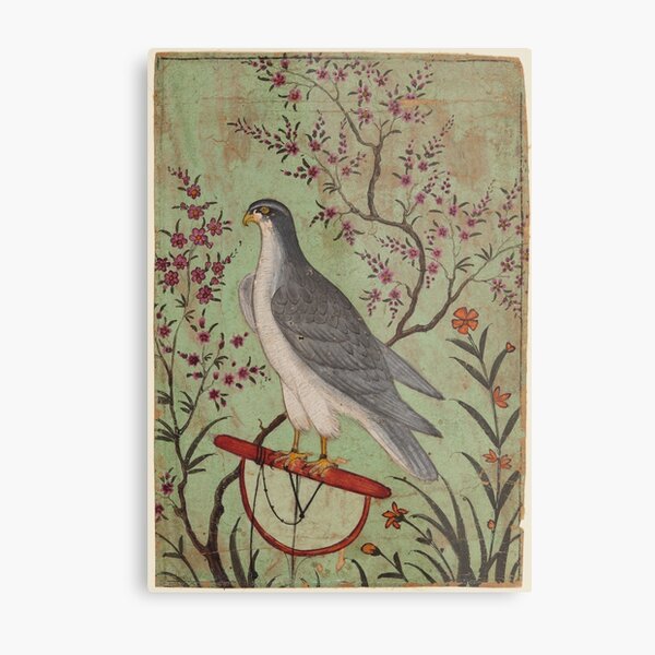 Old Japanese Watercolor Painting of A Hawk Or Falcon Bird of Prey Antique  Asian Painting Printed Canvas Poster Wall Art Decor Posters Home Bedroom