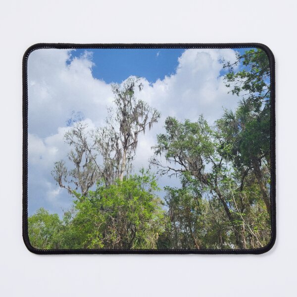 Item preview, Florida trees designed and sold by reformedfruit.