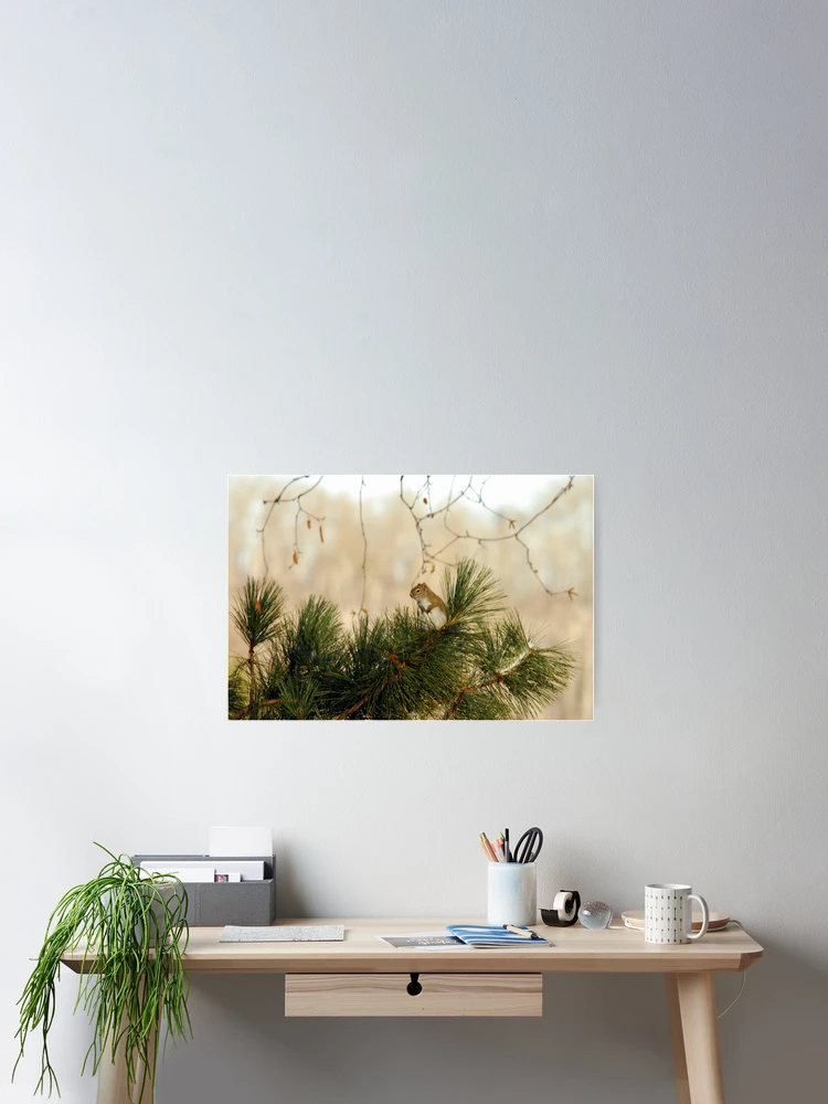 Thumbnail 2 of 3, Poster, Up a Tree designed and sold by Shelby Stalnaker Bortone.