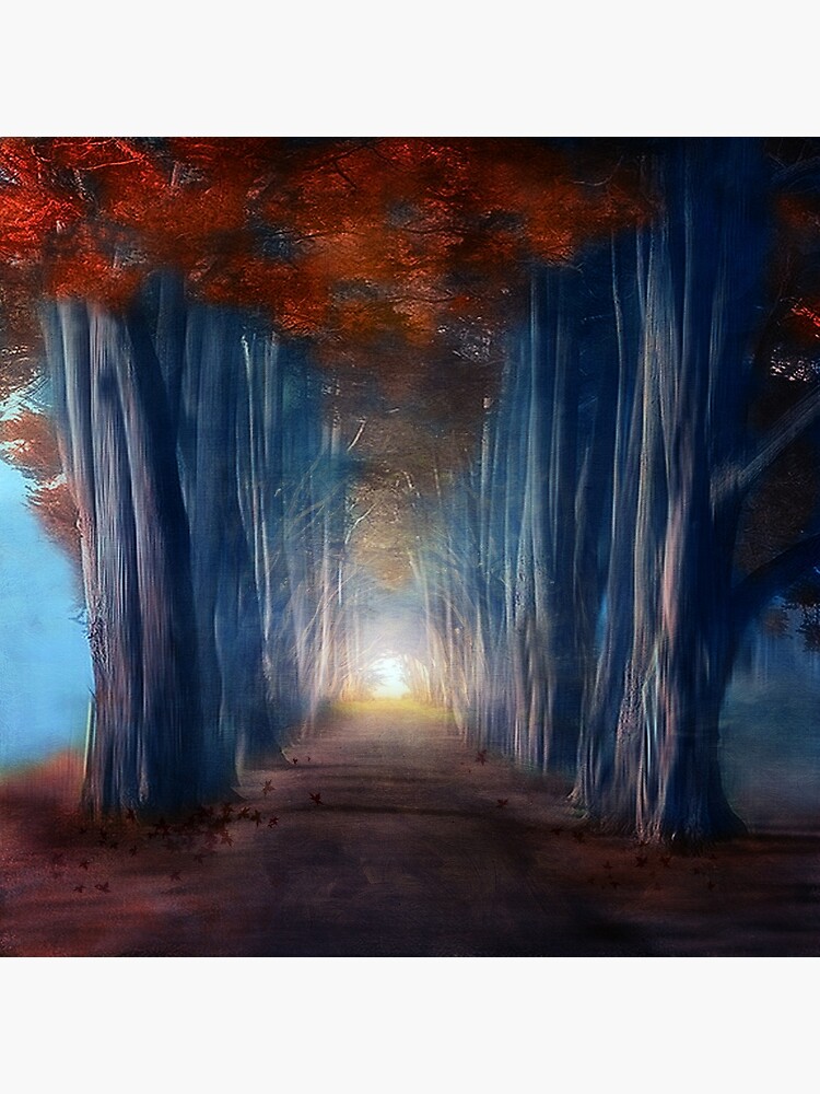 "Dreams come true" Framed Art Print by vivigonzalezart Redbubble