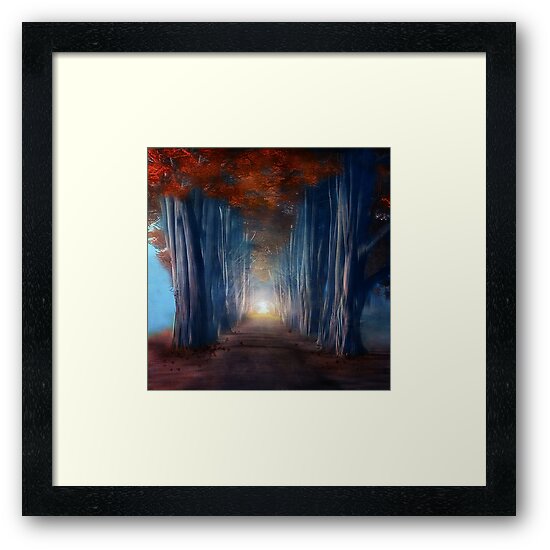 "Dreams come true" Framed Art Print by vivigonzalezart Redbubble