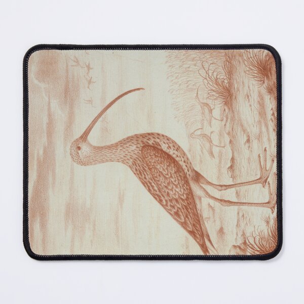 Item preview, Curlews and Ducks by Nicolas Robert designed and sold by Amanda1775.