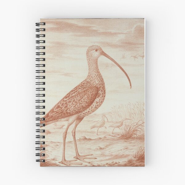 Item preview, Curlews and Ducks by Nicolas Robert designed and sold by Amanda1775.