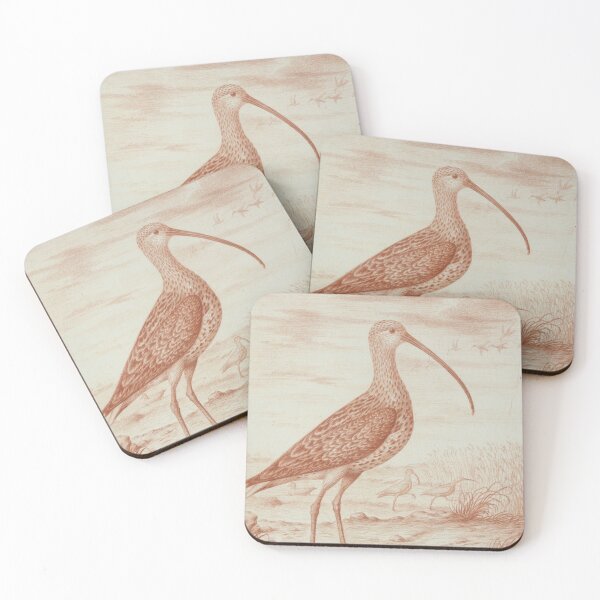 Item preview, Curlews and Ducks by Nicolas Robert designed and sold by Amanda1775.