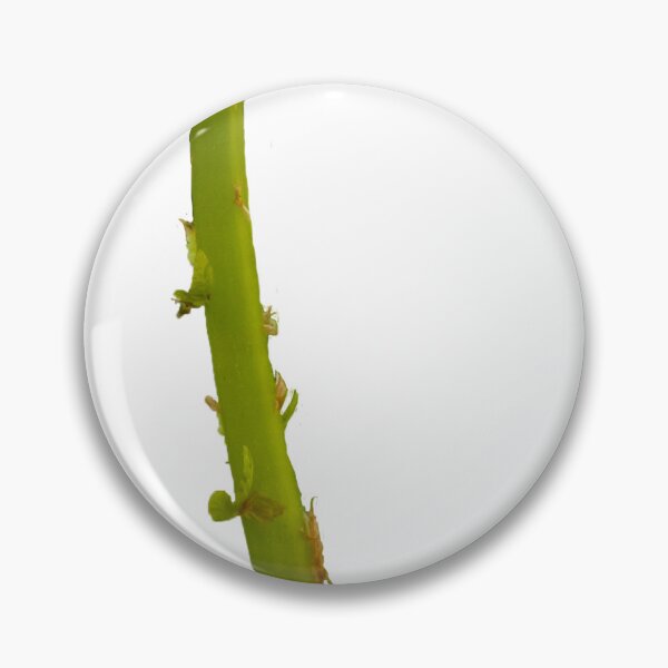 Item preview, Fern frond unfurling designed and sold by KRFNatureGifts.