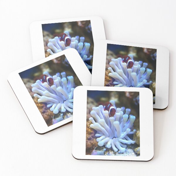 Item preview, clownfish in bubble designed and sold by 0allthing.