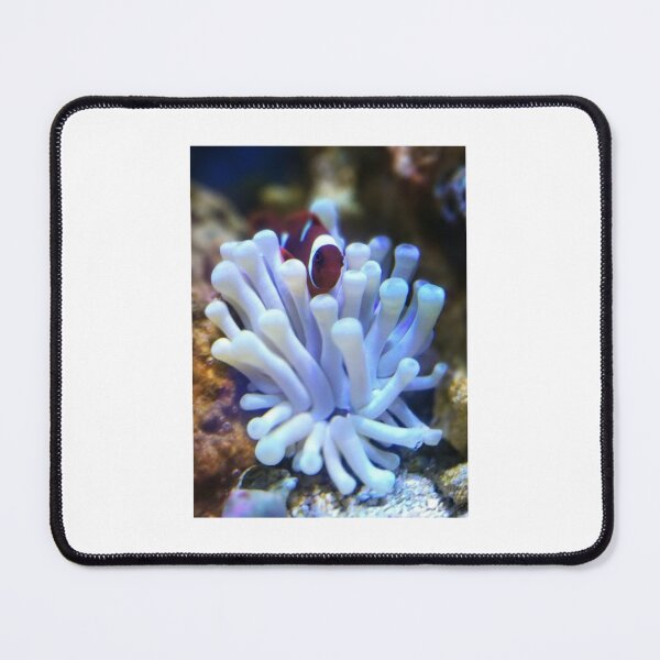 Item preview, clownfish in bubble designed and sold by 0allthing.