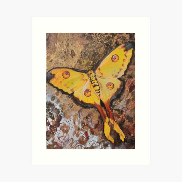 Item preview, Madagascar Moth designed and sold by JenNewbyGallery.