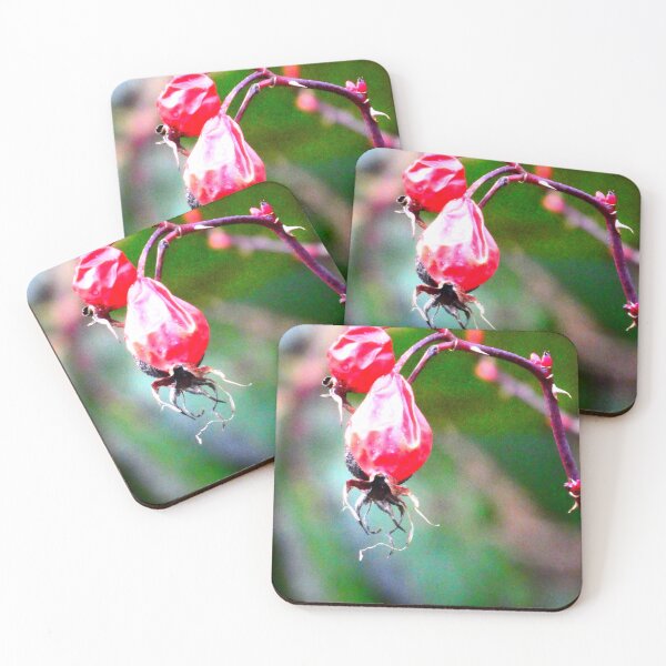 Item preview, Wild rosehips designed and sold by angel1.