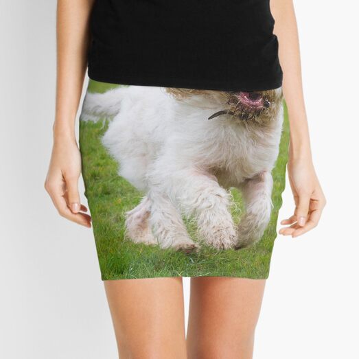 Orange and White Italian Spinone Dog in Action Mini Skirt