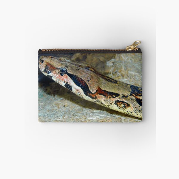 Item preview, Boa Constrictor designed and sold by WildestArt.