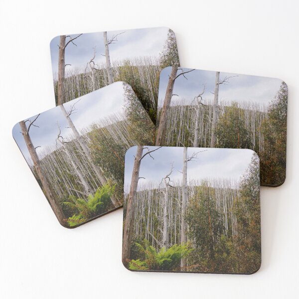 Item preview, After the Fires designed and sold by D-GaP.