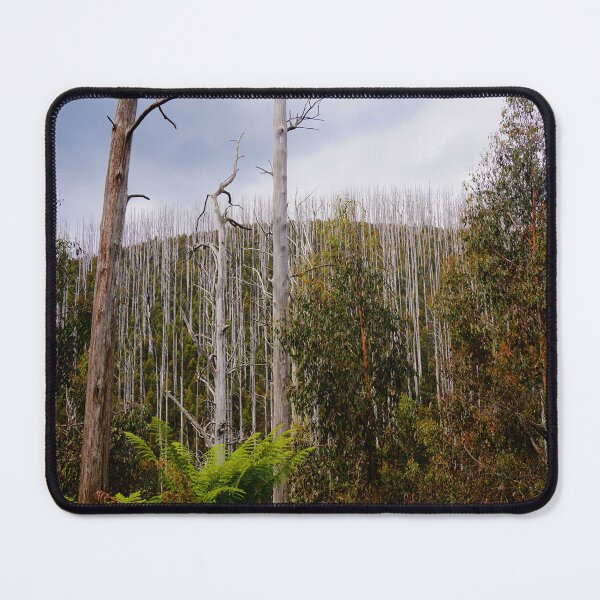 Item preview, After the Fires designed and sold by D-GaP.