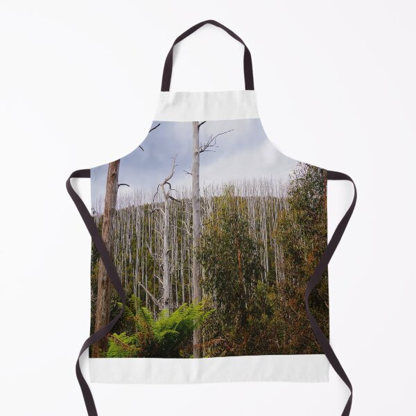 Item preview, After the Fires designed and sold by D-GaP.
