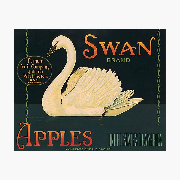 SWAN~BIRD~HISTORICAL YAKIMA WASHINGTON FRUIT CRATE LABEL ART~NEW 1989 POSTCARD 
