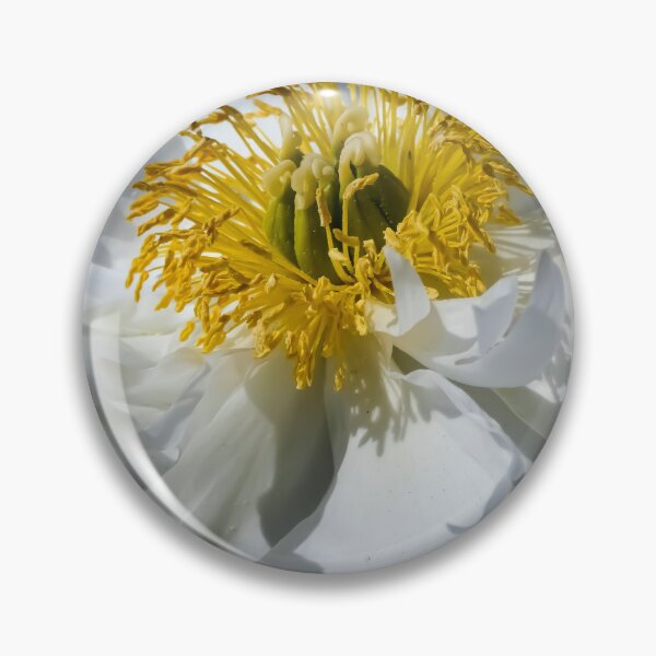 Item preview, Flor blanca y amarilla de Brandon Cable designed and sold by BrandonArtWorld.
