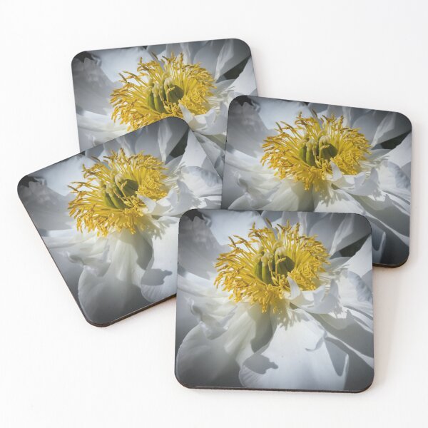 Item preview, Flor blanca y amarilla de Brandon Cable designed and sold by BrandonArtWorld.