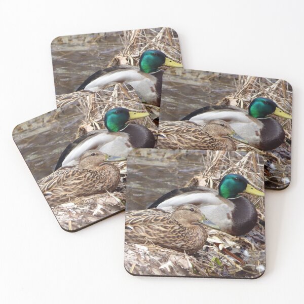Item preview, Familia de patos por Brandon Cable designed and sold by BrandonArtWorld.