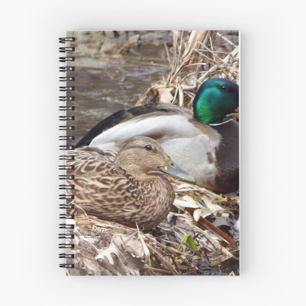 Item preview, Familia de patos por Brandon Cable designed and sold by BrandonArtWorld.