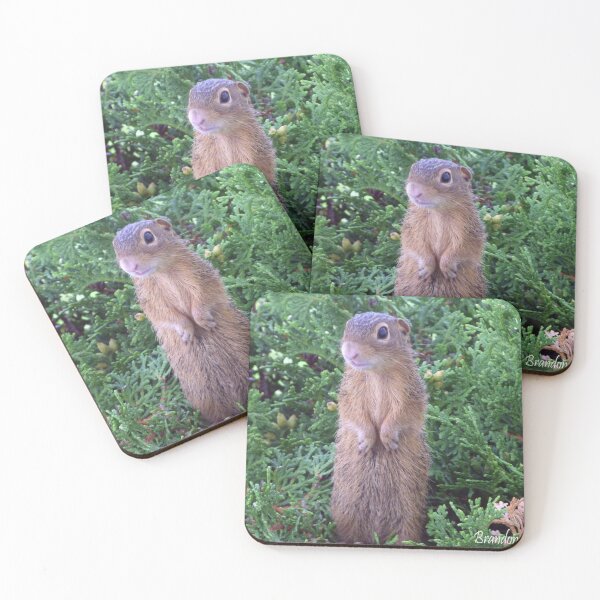 Item preview, Stripped Gopher By Brandon Cable  designed and sold by BrandonArtWorld.