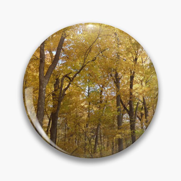 Artikelvorschau, Herbstfarbenpfad von Brandon Cable entworfen und verkauft von BrandonArtWorld.
