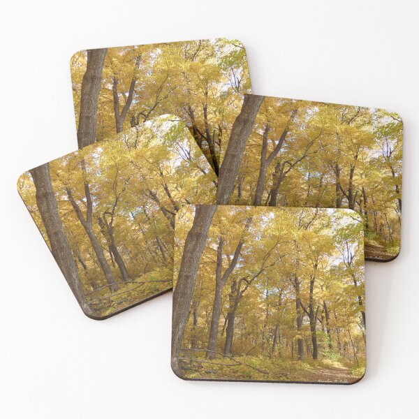 Item preview, Camino de colores de otoño por Brandon Cable designed and sold by BrandonArtWorld.