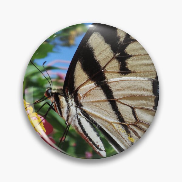 Artikelvorschau, Butterfly Close UP von Brandon Cable entworfen und verkauft von BrandonArtWorld.