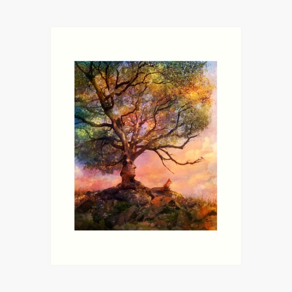 Sunset at Fox Mountain Art Print
